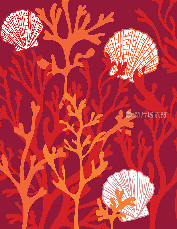 海藻，珊瑚和蛤壳背景