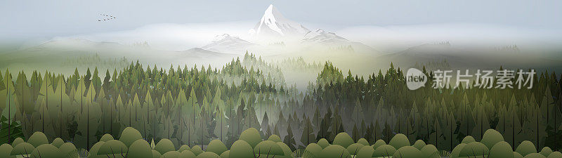 云雾缭绕的松林山全景