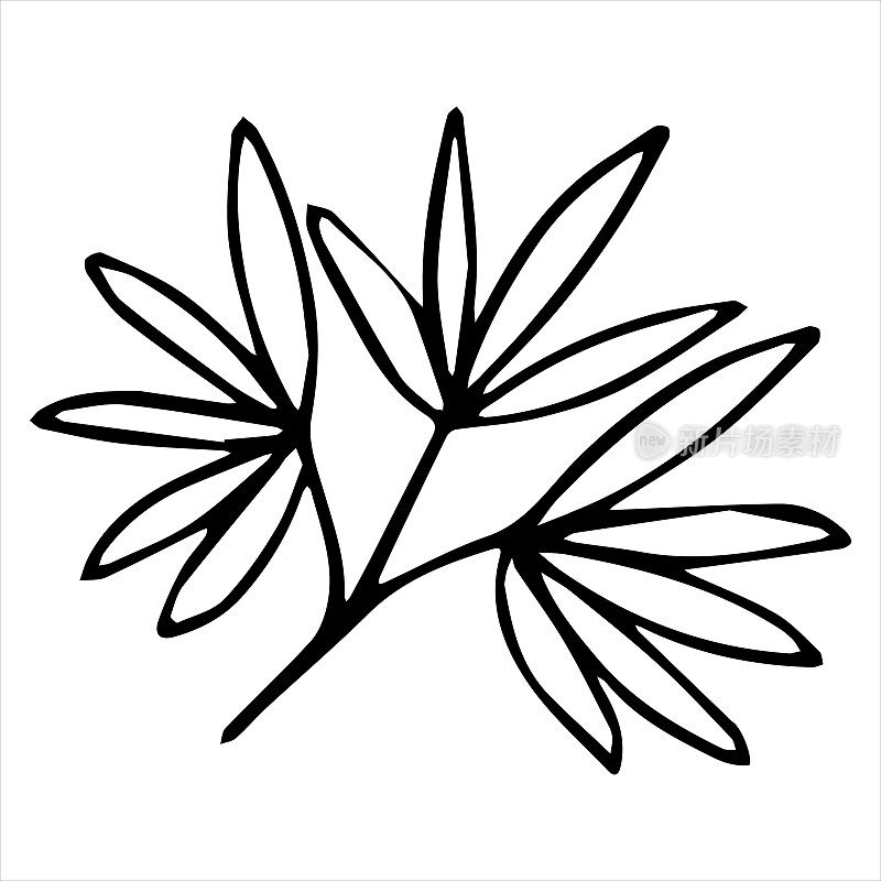 一根带花的手绘小树枝。涂鸦矢量插图。孤立在白色背景上，黑白图形