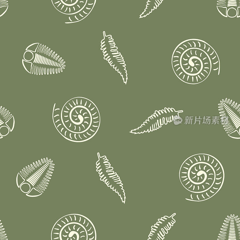 菊石三叶虫蕨类载体无缝图案背景。手绘螺旋形壳头足类和节肢动物肋化石，蕨类。灭绝的海洋捕食者和植物背景。教育