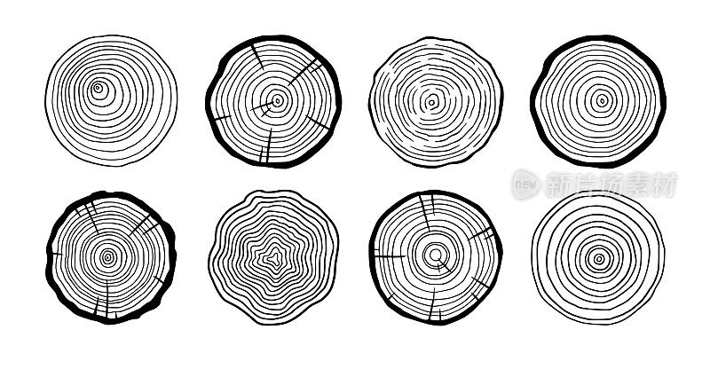 树年轮木圆套。手绘树年轮图案，线纹圆木纹理。木质有机切片线条设计。向量