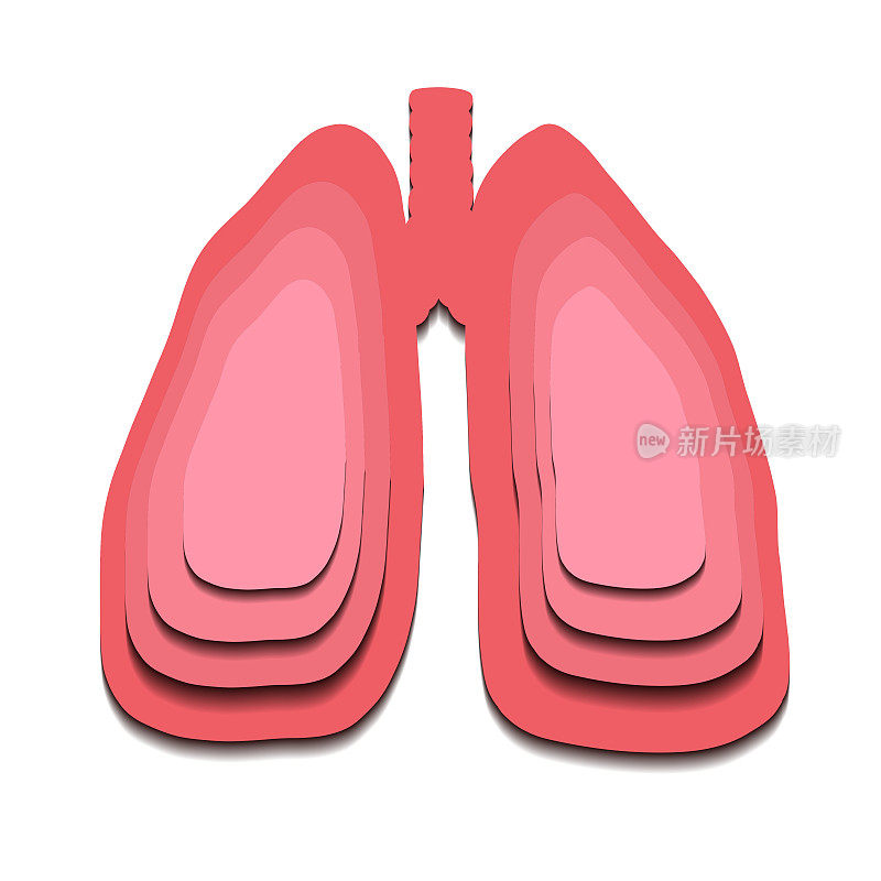 人体肺轮廓的剪纸插图。载体救济医学人体器官剪贴艺术。分层3D元素