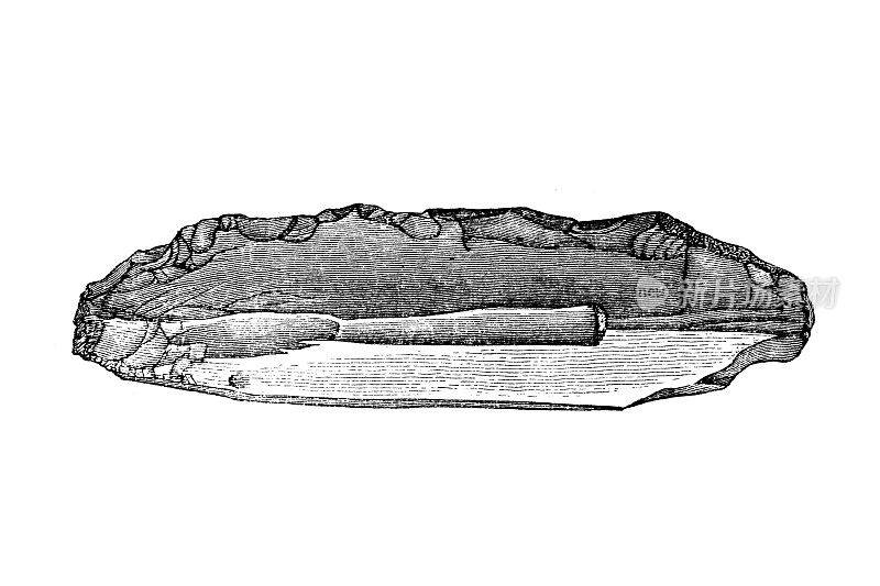 典型的中中新世(巴登纪)方解岩样品