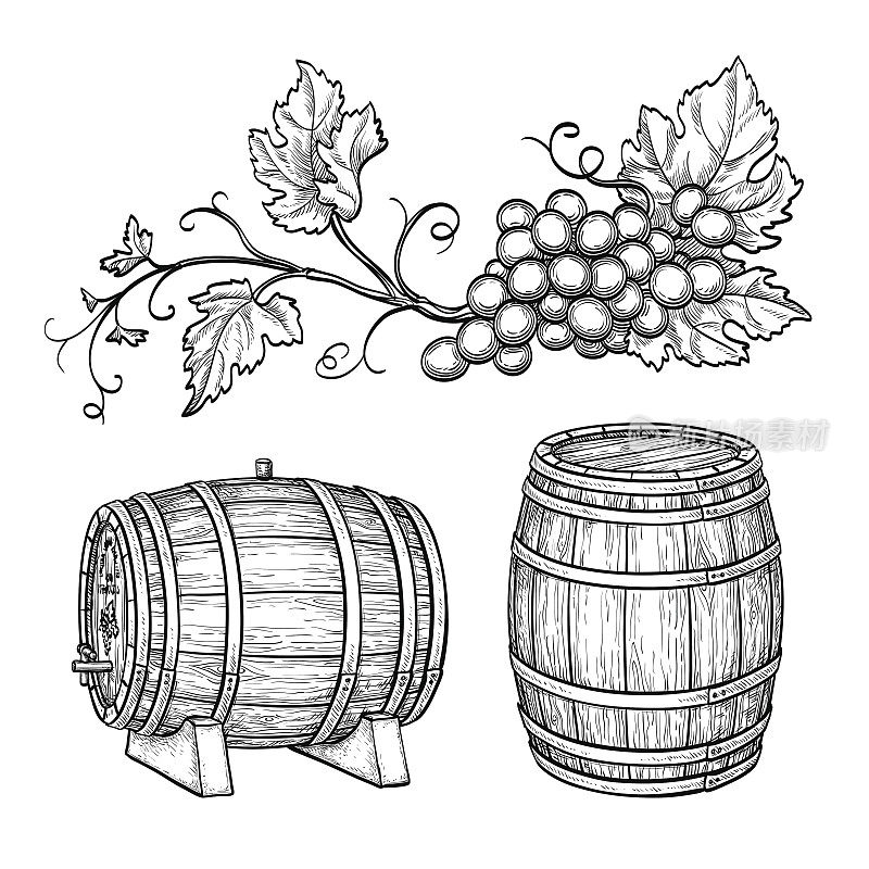 葡萄枝和酒桶。