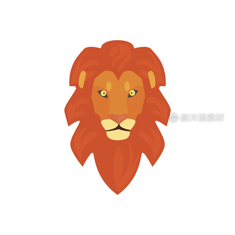 狮子头写实简化画