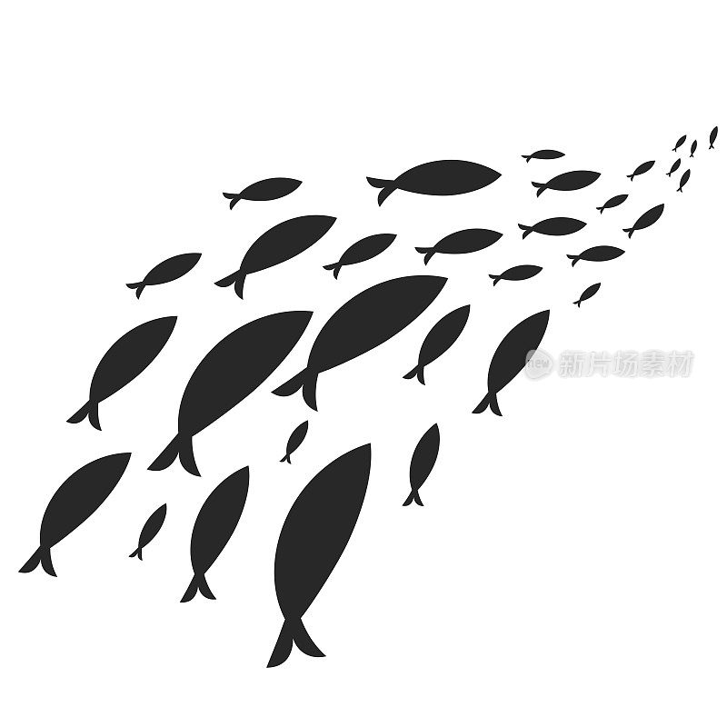 黑鱼的剪影在鱼群中游动