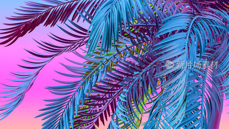 棕榈树颜色梯度，多色的夏季概念