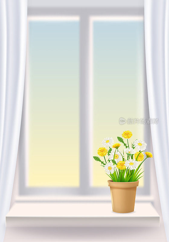 在室内打开窗户，欣赏风景，春天，花盆的窗台上，窗帘雏菊和蒲公英花。矢量插图模板逼真