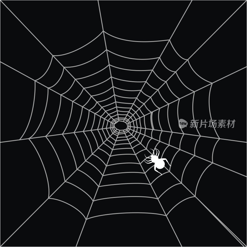蜘蛛网设计
