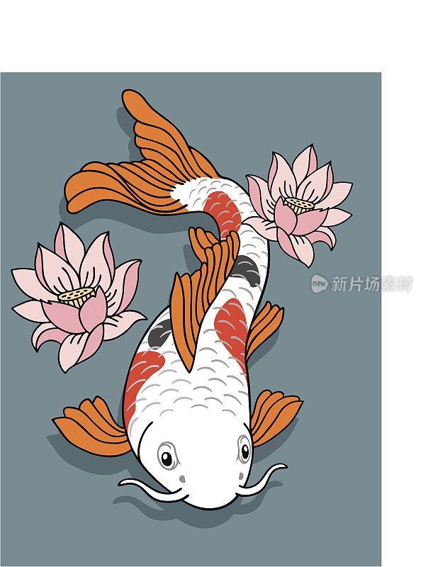 东方鲤鱼鱼插画