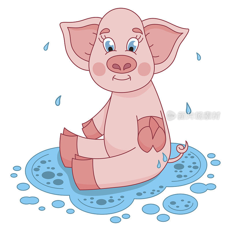 水坑里的可爱小猪坐在水面上微笑