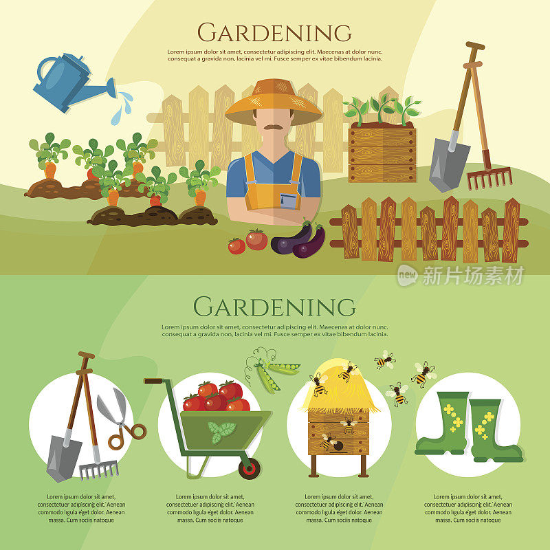 园艺，种植蔬菜，天然食品农产品