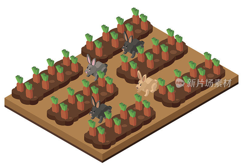 用兔子做胡萝卜花园的3D设计