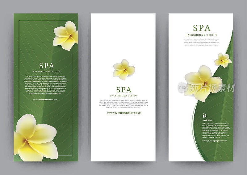 模板横幅温泉鸡蛋花，绿叶现代设计，宣传册海报传单传单，矢量插图