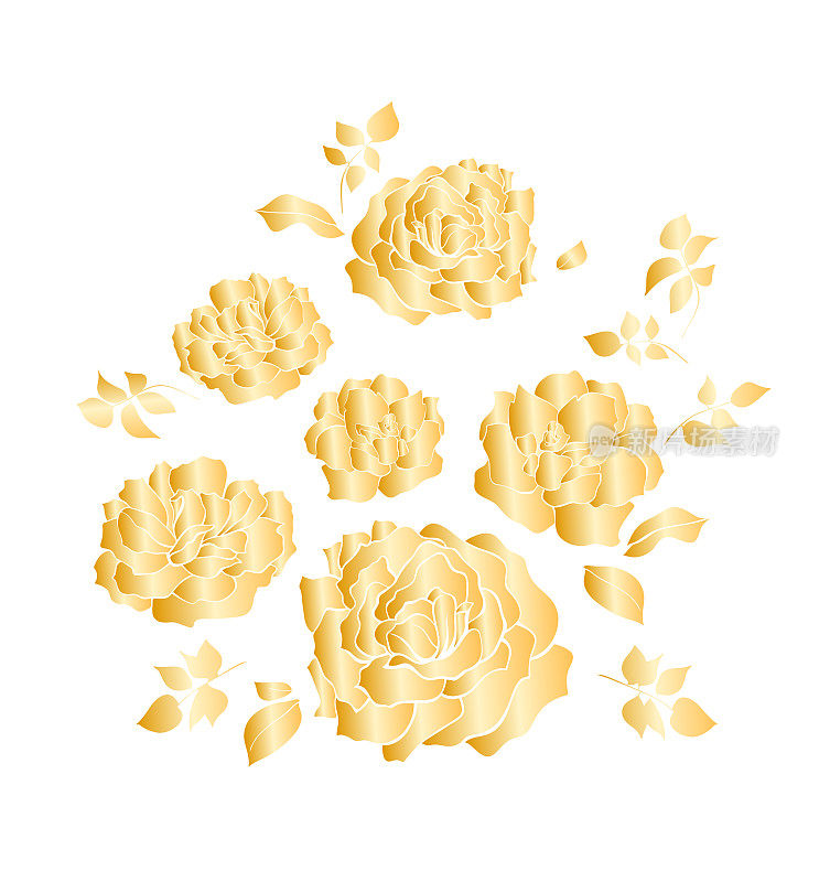 花卉设计，矢量插图集手绘。金色梯度花园玫瑰花和叶子，优雅的花束孤立在白色的背景。