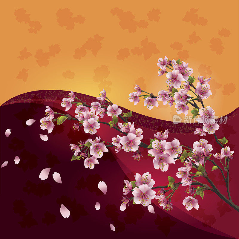 樱花-日本樱桃树在明亮多彩的背景