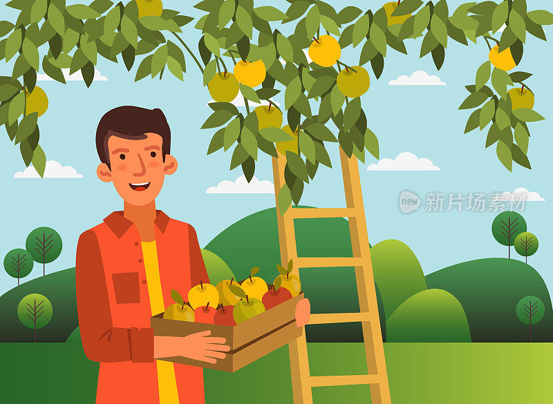 一个年轻人在花园里带着一个装满新鲜苹果的木箱子