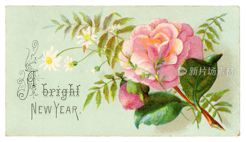 维多利亚时代的新年卡片，雏菊和粉红玫瑰，1878年