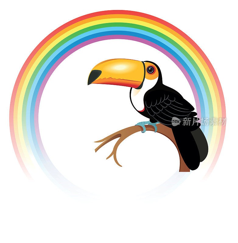 巨嘴鸟和彩虹