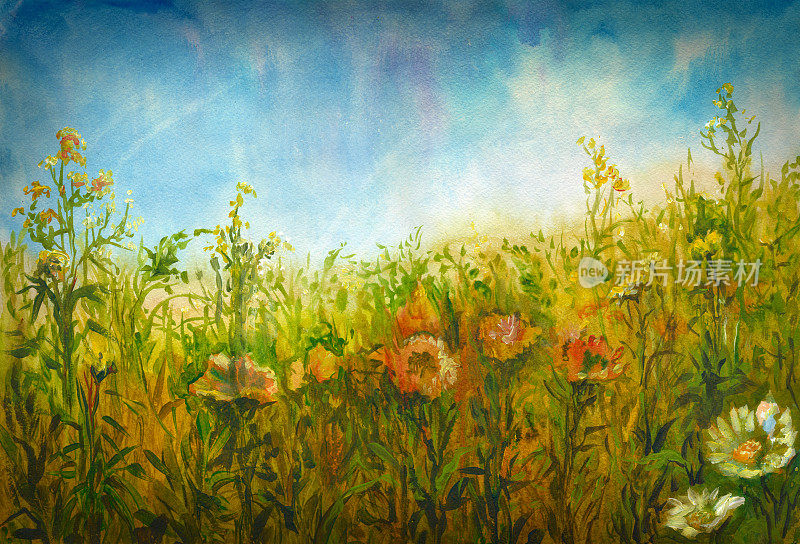 夏日草地，水彩画