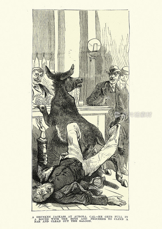1883年，19世纪，内华达州奥罗拉，西大荒酒吧里的醉鬼