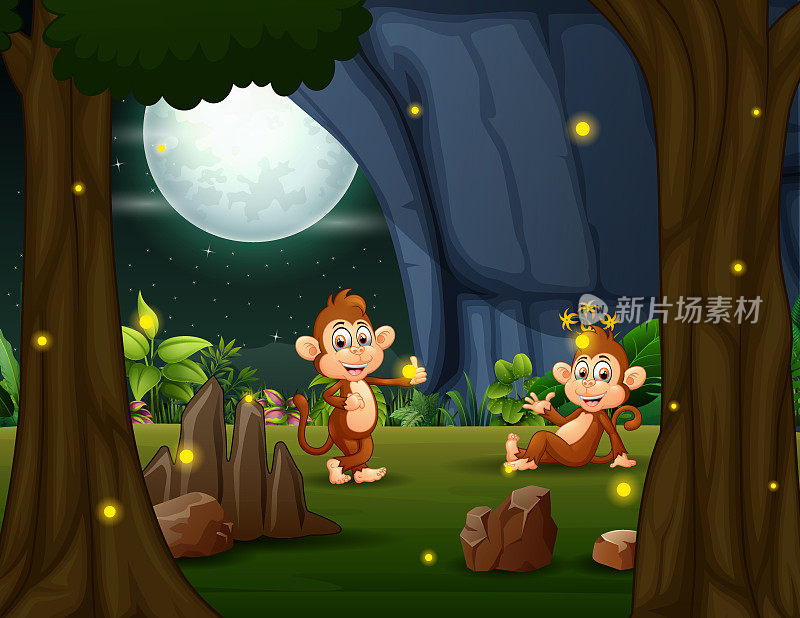 快乐的猴子在夜晚与萤火虫一起享受大自然