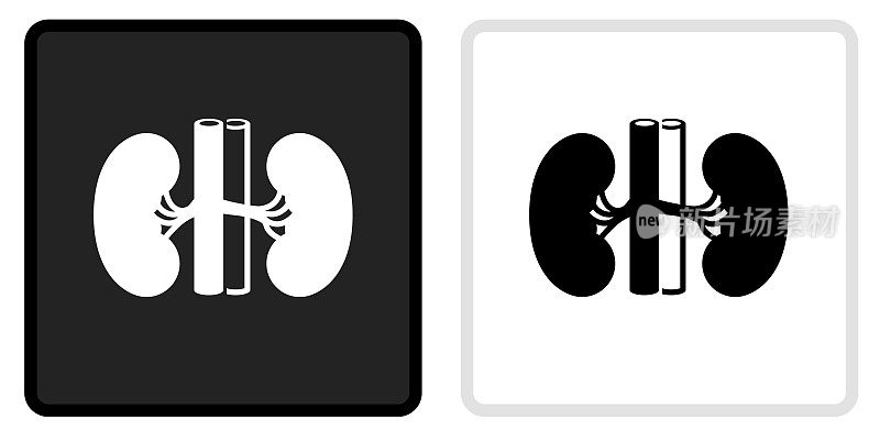肾脏图标上的黑色按钮与白色翻转