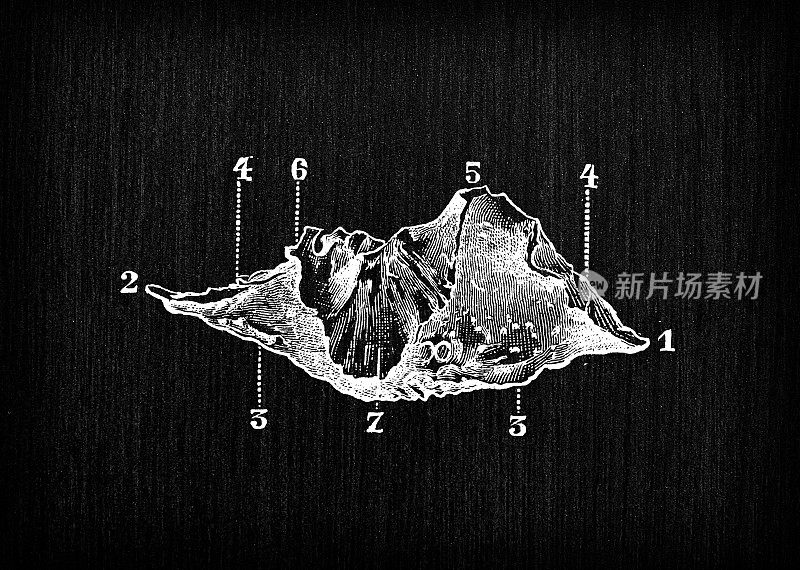 人体解剖骨骼的仿古插图，头骨:下鼻甲，下鼻甲骨，下鼻甲或鼻甲