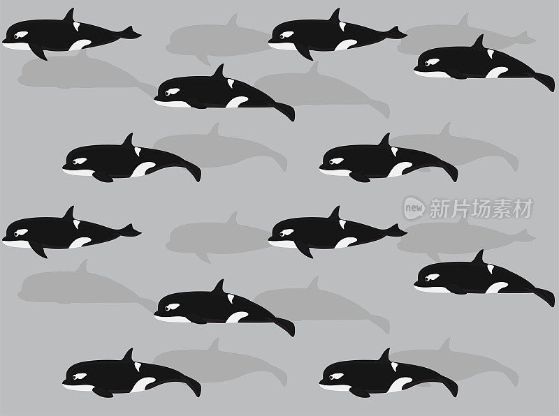 动物卡通逆戟鲸虎鲸无缝壁纸背景