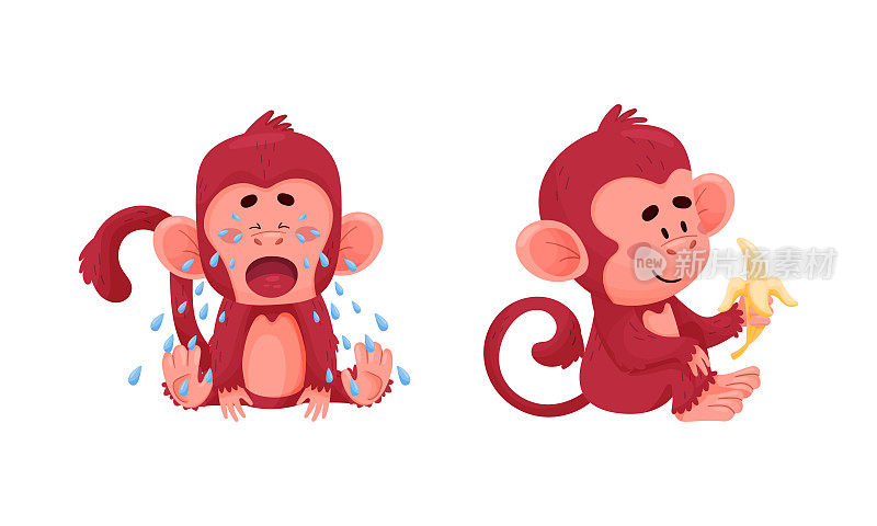 可爱有趣的猴子动作设置。小动物宝宝哭和吃香蕉水果矢量插图