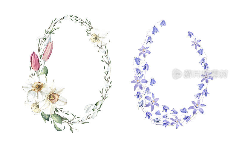水彩手绘花环与雪花莲，水仙花和紫罗兰。