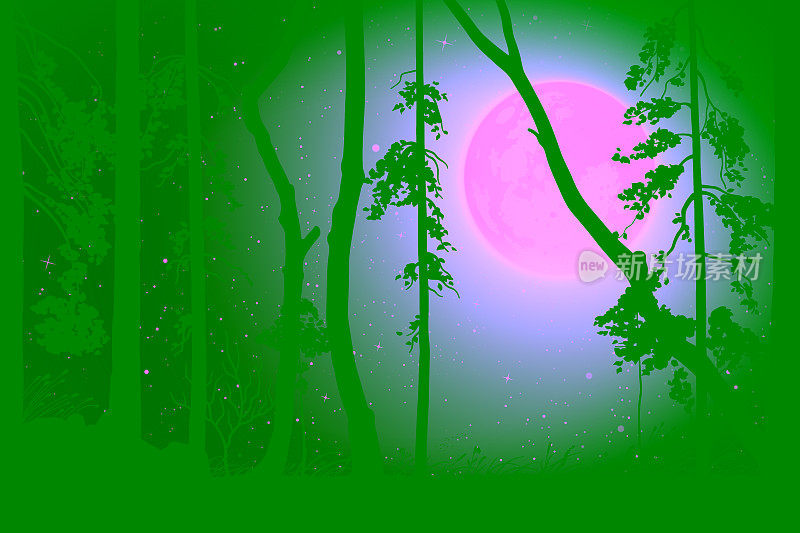 月夜混交林景观