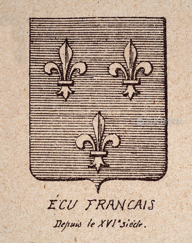 饰有纹章的盾牌，16世纪的法国盾形纹章，有条纹背景的鸢尾花