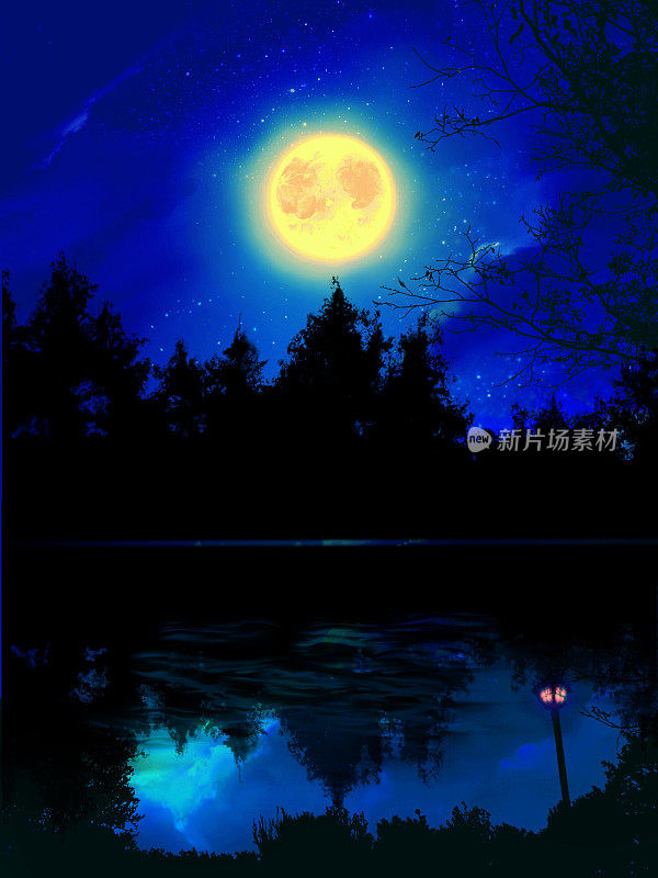 神秘的深森林夜景和闪耀的满月倒映在湖面上的梦幻背景插图