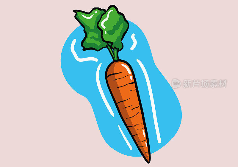 手画胡萝卜和叶子。卡通胡萝卜向量。