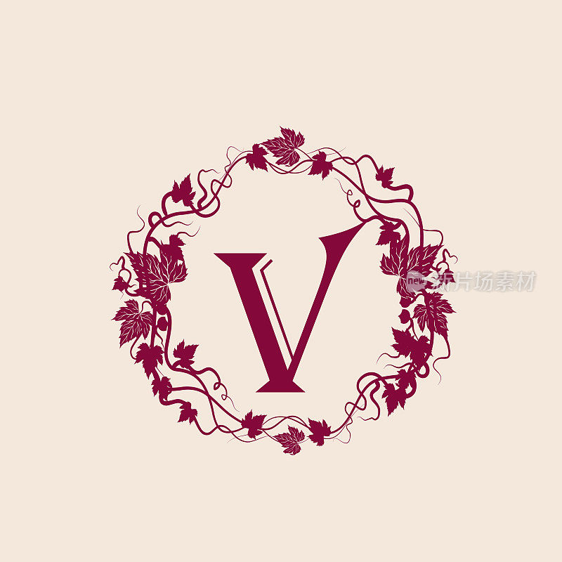 字母V。装饰旋涡，花，叶框架。字母的原价。