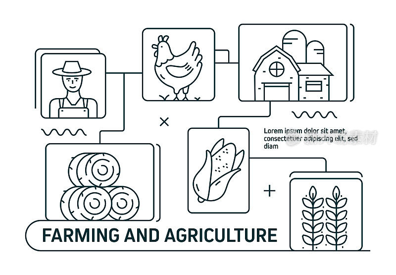 农场和农业线图标。现代平面设计。矢量线图标。现成的横幅，书籍，宣传册，网页的设计。采购产品农民，谷仓，牲畜，拖拉机，干草包，农田，鸡蛋，面粉