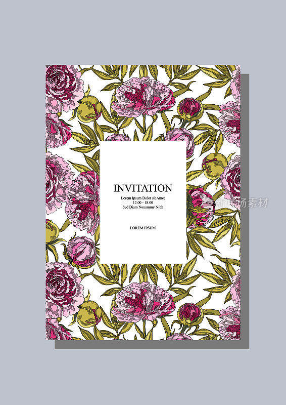 粉红色的牡丹花，嫩芽和绿色的叶子。花卉邀请，小册子封面，明信片，横幅和背景设计模板。矢量插图。