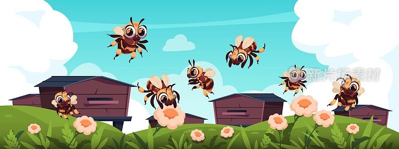 蜜蜂的背景。卡通夏季景观与蜜蜂和蜂箱。木制蜂箱在草地和鲜花上。飞行昆虫。春天嗡嗡作响的虫子。向量草地蜂房风景