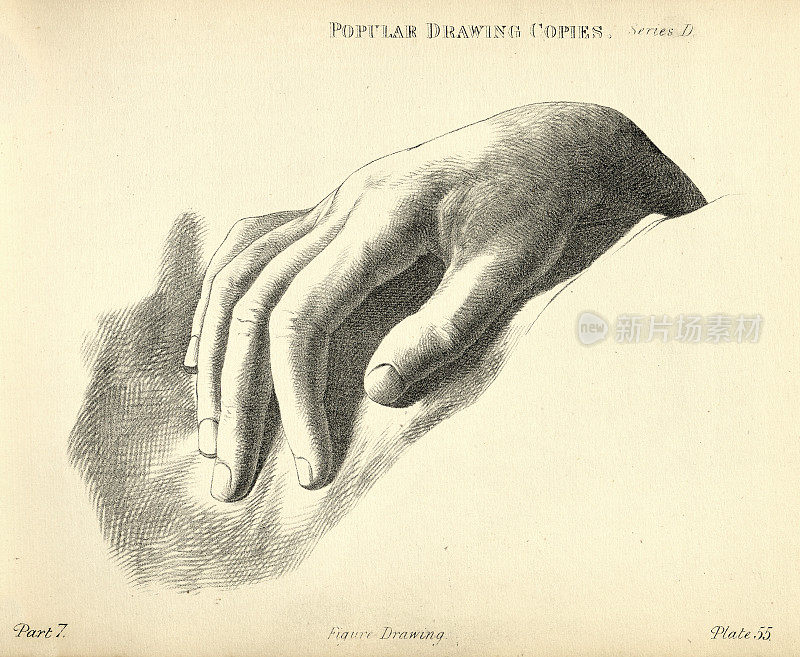 素描人类的手和手指，维多利亚艺术人物画复制19世纪