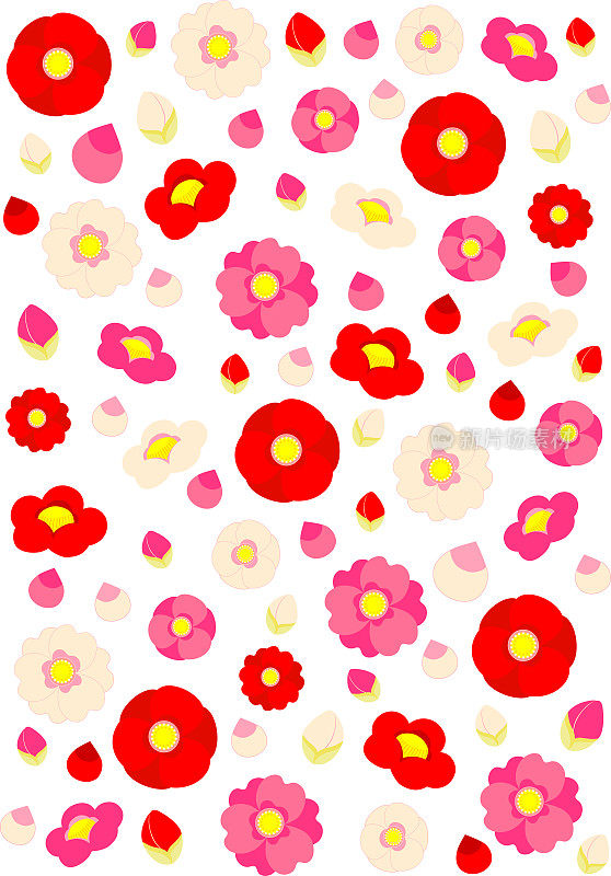 色彩斑斓的山茶花背景插图