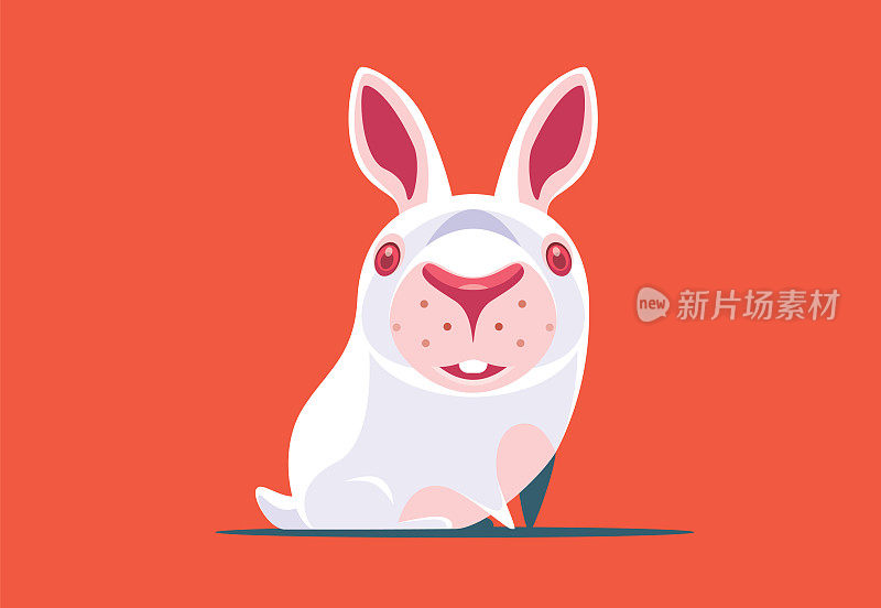 兔子的性格