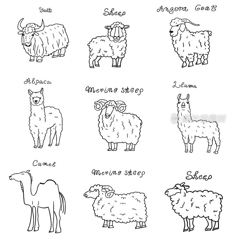牦牛，安哥拉山羊，骆驼，美利奴羊，大羊驼，羊驼。