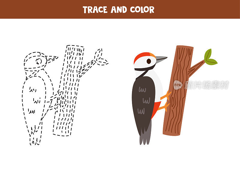 痕迹和彩色卡通啄木鸟。儿童工作表。