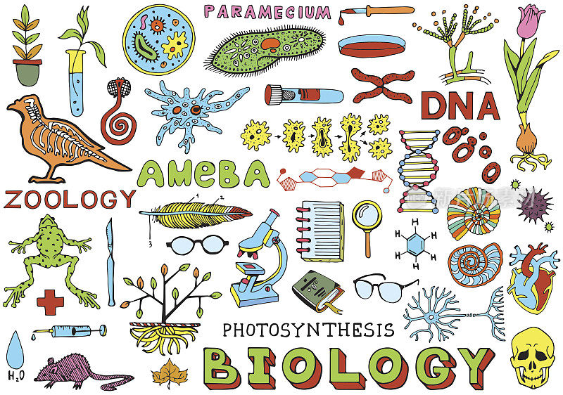 生物科学涂鸦手画孤立的元素。科学和教育。