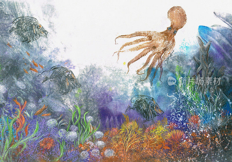 原版水彩画章鱼和丰富多彩的海洋生物