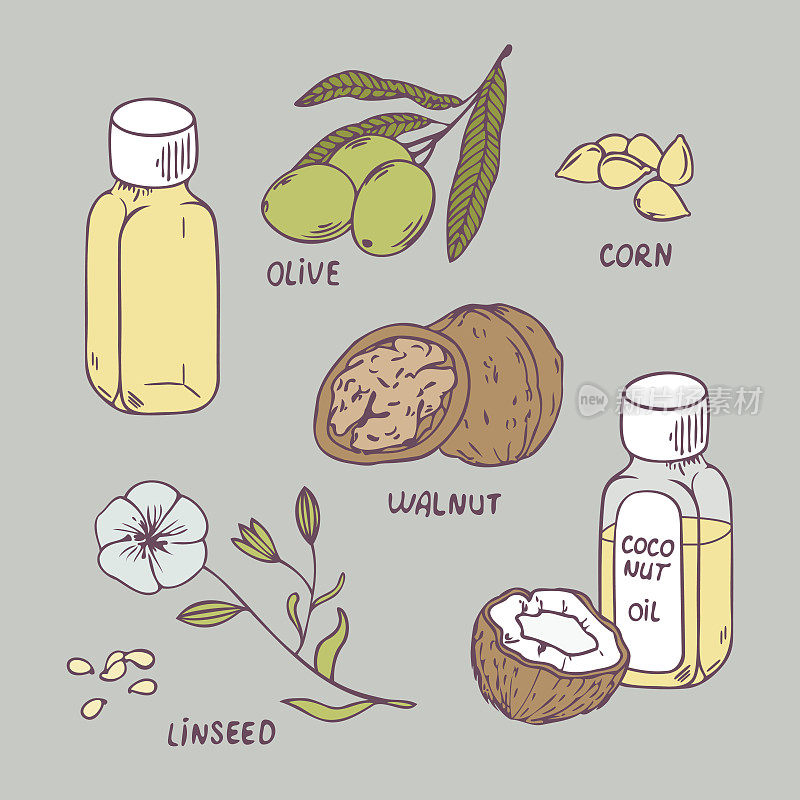 健康的油。椰子，核桃，橄榄，玉米和亚麻籽