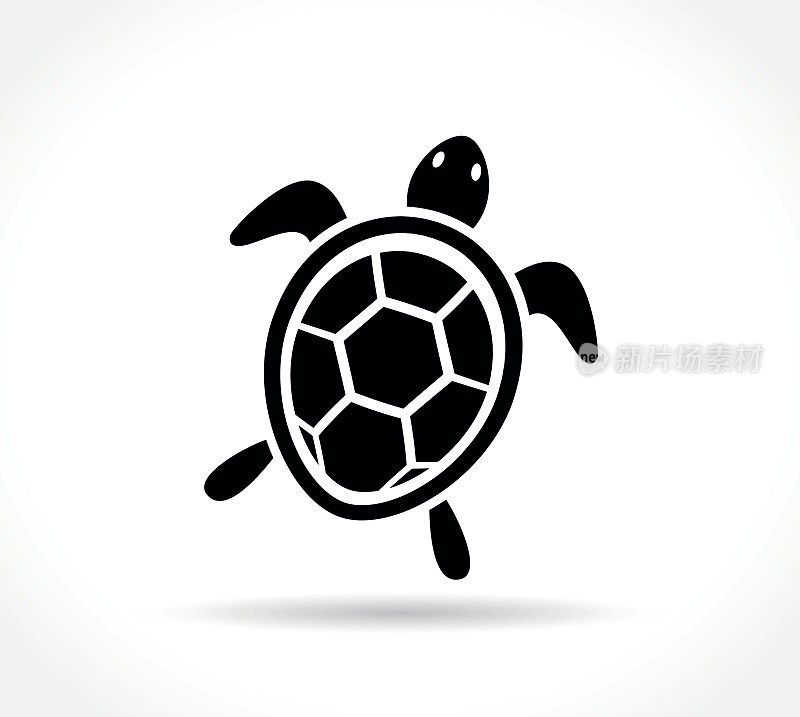 海龟图标上的白色背景