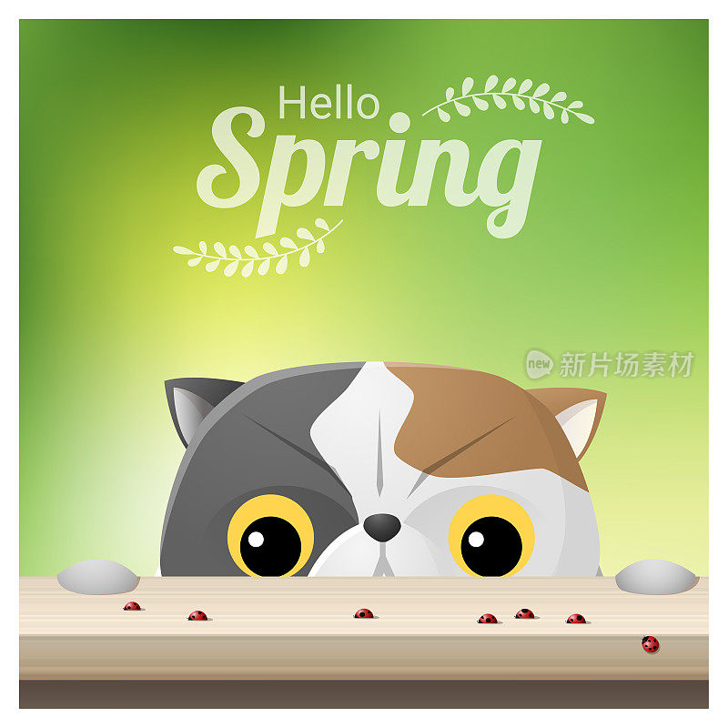 你好春天季节背景与一只猫看瓢虫，矢量，插图