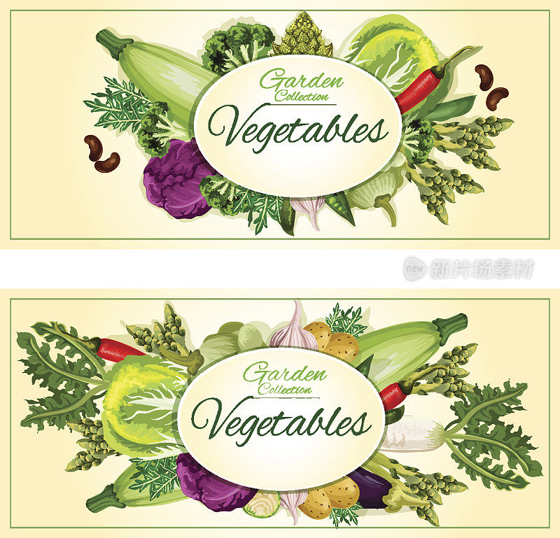 菜园蔬菜矢量海报，横幅